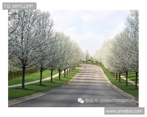 萨林杰的文学世界与人生哲学探讨：从孤独到自我救赎的旅程