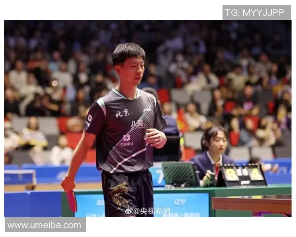 2015年王楚钦与马龙的精彩对决回顾与分析