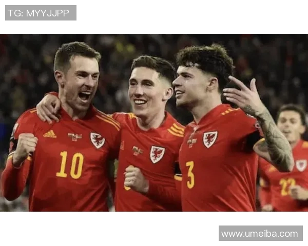 威尔士与芬兰精彩对决视频回顾及赛后分析