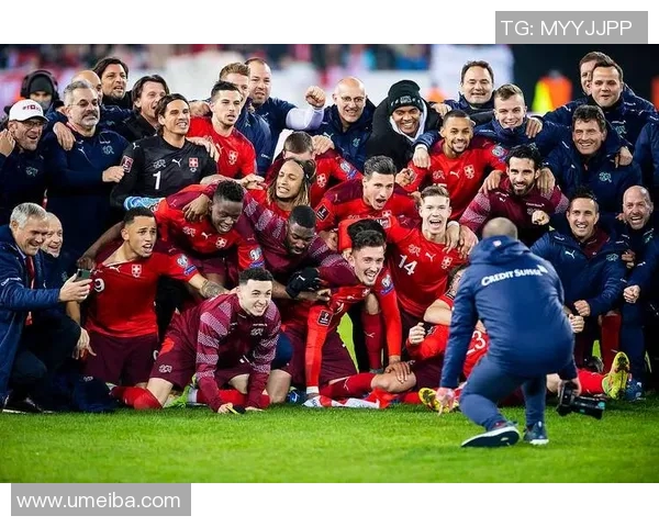 德国与奥地利精彩对决全场回放视频分享与分析