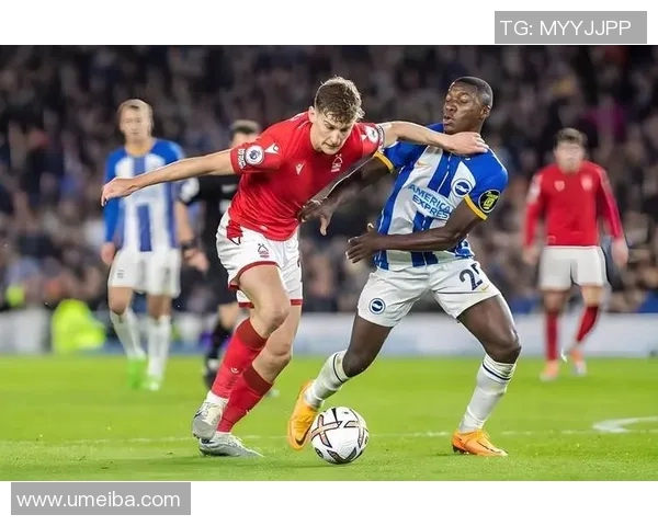 卡迪夫城与诺丁汉激战在即谁能在这场对决中笑到最后 卡迪夫城与诺丁汉激战在即谁能在这场对决中笑到最后