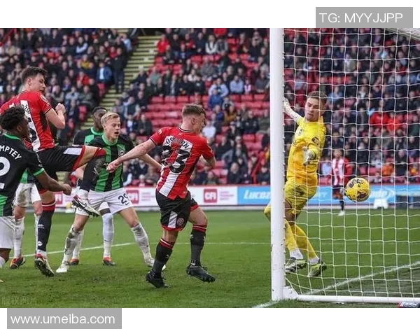 布莱顿对阵狼队赛事分析与推荐策略详解