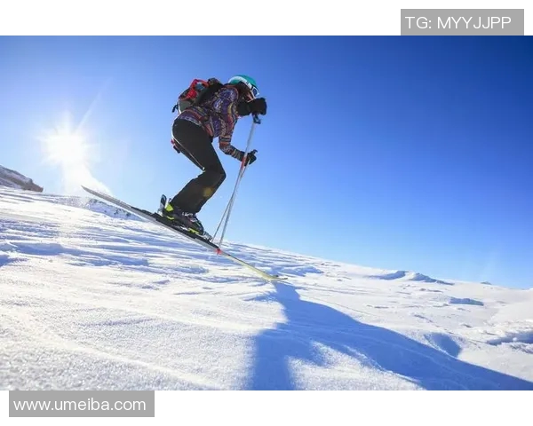 陈静深度解析极限运动的乐趣与挑战分享个人心得与成长经历MBA