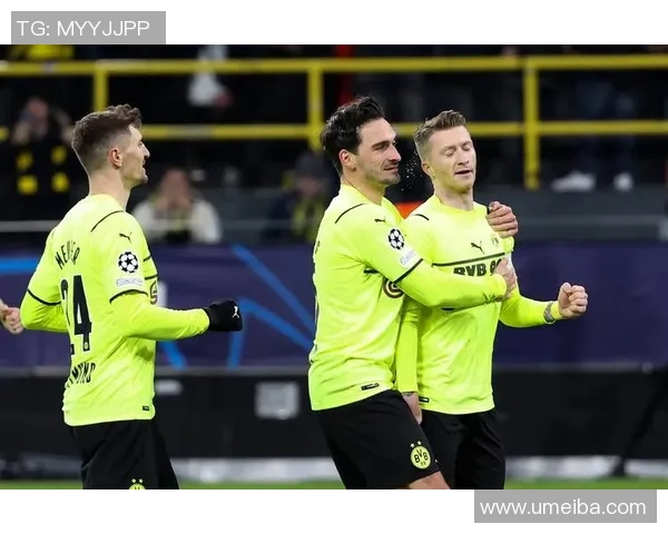 多特蒙德球迷暴力事件引发欧冠禁赛三场及罚款50万欧元的严厉处罚 多特蒙德球迷暴力事件引发欧冠禁赛三场及罚款50万欧元的严厉处罚