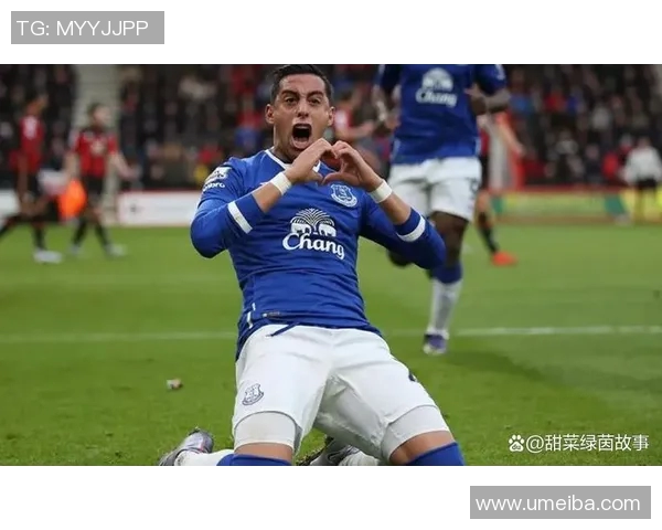 狼队与埃弗顿对决分析及胜负推荐解析