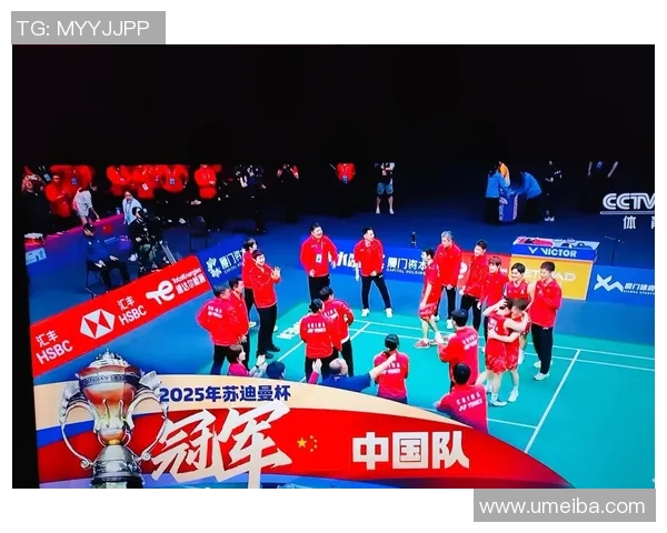 羽毛球灵活性排行榜出炉深圳羽毛球队荣获第四名佳绩