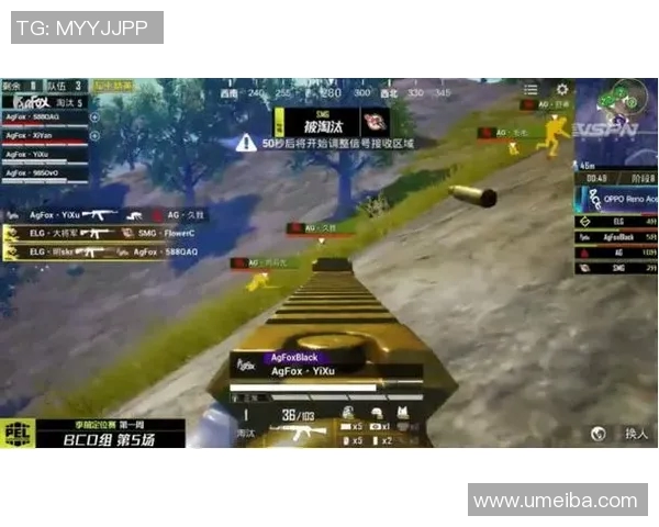 和平精英热议RNG战队节奏之争引发玩家热烈讨论与思考